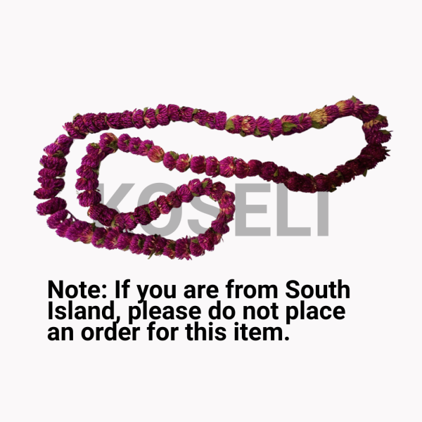 Makhamali mala in NZ